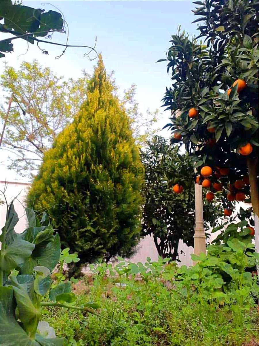 فروش ویلا باغ در دهکده توریستی منطقه محمودآباد