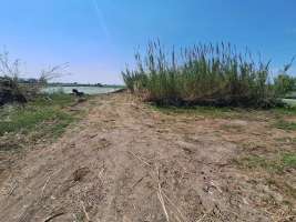 <div class='tp_title'>زمین ارزان در شهر سرخرود</div><div class='tp_desc'>با سلام
با معرفی یک زمین ارزان و مناسب سرمایهگذاری ، در بافت شهری سرخرود ، همراه شما هستم....❕❕
❎مشخصات زمین✅۲۰۰ متر✅۱۲ متر بر✅داخل کوچه ۸ متری و توریست نشین
❌این زمین در بافت شهری سرخرود و در موقعیت مکانی عالی واقع شده است و برای سرمایهگذاری گزینه بسیار مناسبی است.
❌دسترسی آسان و سریع به دریا ، جاده اصلی و مرکز شهر از ویژگیهای...</div><div class='row_location'><div class='row_title'>آدرس</div><div class='tp_location'>بافت شهری سرخرود<br />آدرس: مازندران، سرخرود، املاک نفار</div></div><div class='row_contact'><div class='row_title'>اطلاعات تماس</div><div class='tp_contact'>شیما قیصریان</div></div><div style='clear:both'></div><div class='title'>تصاویر</div><div class='images_box'><img src='/components/com_djclassifieds/images/item/1/1219_19b0975b1db863e91a0114c90fdaa587_ths.jpg' width='267' height='200' /><img src='/components/com_djclassifieds/images/item/1/1219_210b200e6caf0a763da068ee022aca5c_ths.jpg' width='267' height='200' /><img src='/components/com_djclassifieds/images/item/1/1219_img_20250421_143550_ths.jpg' width='267' height='200' /></div><div style='clear:both'></div> زمین ارزان در شهر سرخرود